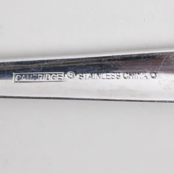 Cambridge Silver Boa Frost Pattern Stainless Teaspoon 7" Good Replacement