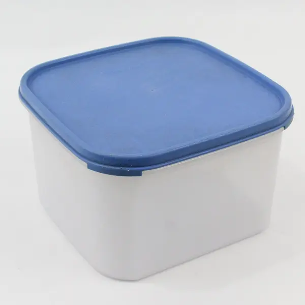 Tupperware 1620-2 2.6L Food Storage Container Blue Lid 1623-2