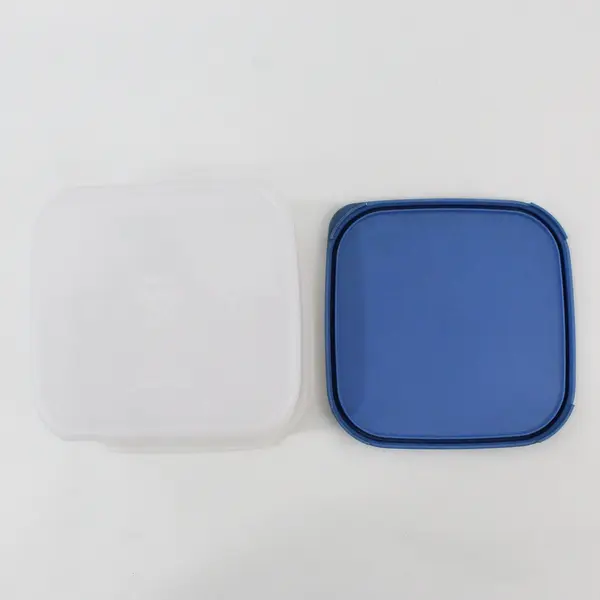 Tupperware 1620-2 2.6L Food Storage Container Blue Lid 1623-2