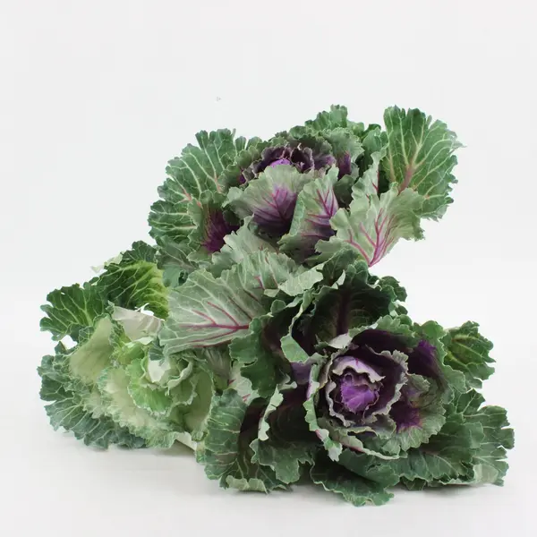 RAZ Imports Lot of 3 Faux Cabbage Plants Artificial Greenery Decor