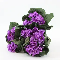 Lot of 4 Sullivans Artificial Light Purple African Violet Flowers