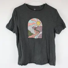 Dip Dark Gray Sunset Canyon Graphic Short Sleeve T-Shirt Women's L