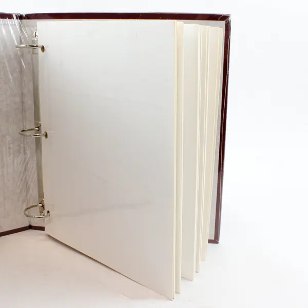 Thompson Photo Album 80 Magnetic Pages 3-Ring Binder Burgundy Large