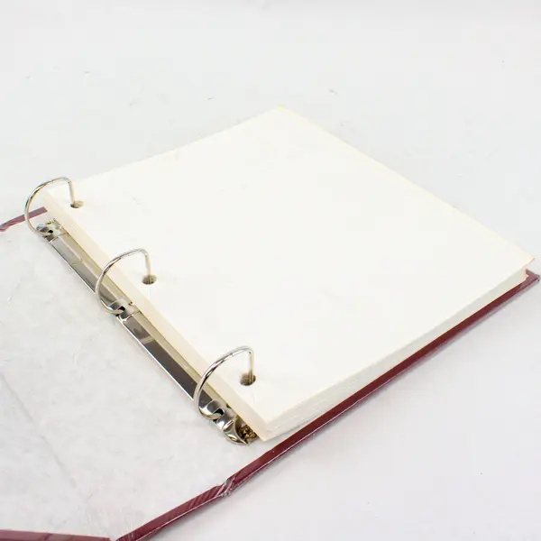 Thompson Photo Album 80 Magnetic Pages 3-Ring Binder Burgundy Large
