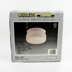 Catalina Lighting 8" White Opal Glass Ceiling Fixture Indoor