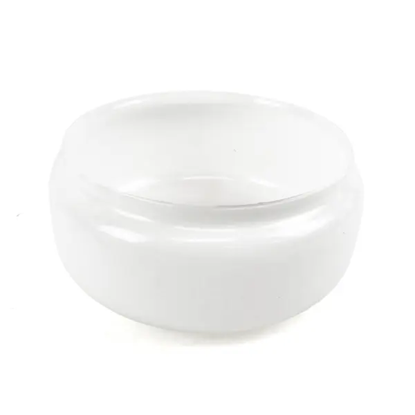 Catalina Lighting 8" White Opal Glass Ceiling Fixture Indoor