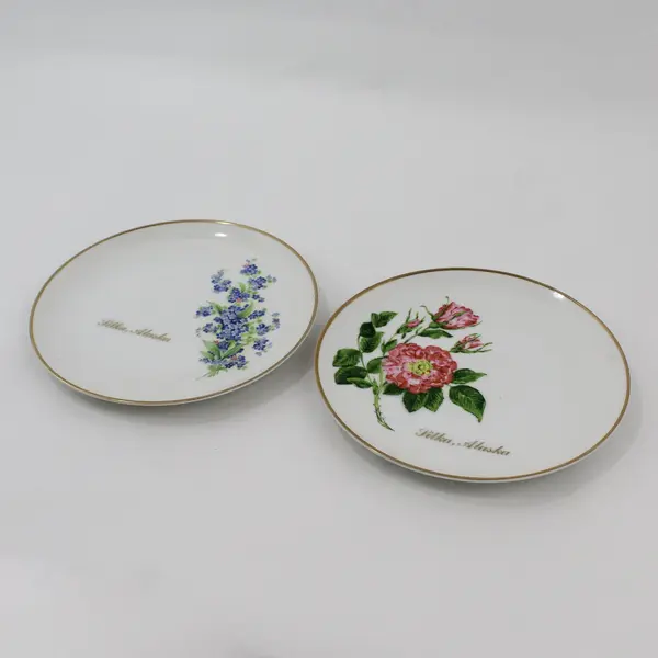2 Viletta Hand Painted China Sitka Alaska Souvenir Plates Floral Design
