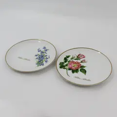 2 Viletta Hand Painted China Sitka Alaska Souvenir Plates Floral Design
