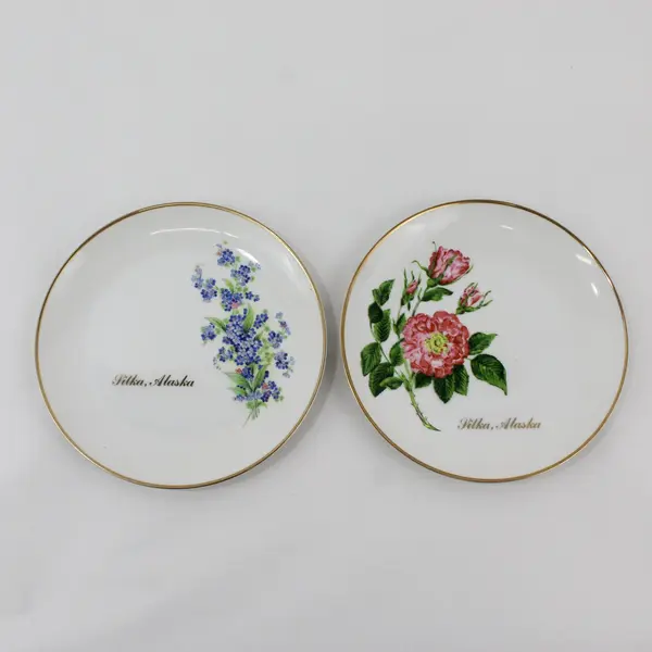 2 Viletta Hand Painted China Sitka Alaska Souvenir Plates Floral Design