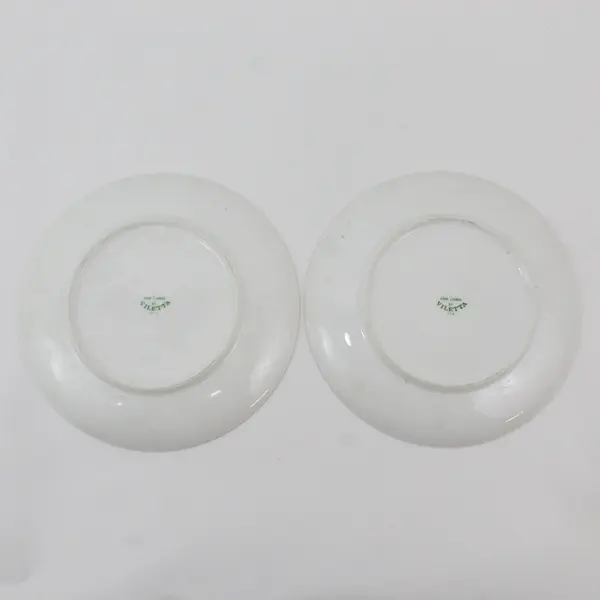 2 Viletta Hand Painted China Sitka Alaska Souvenir Plates Floral Design
