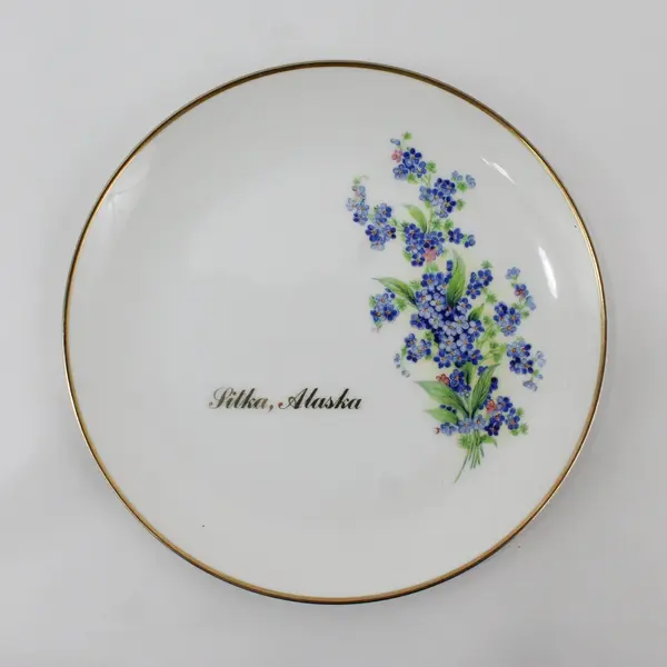 2 Viletta Hand Painted China Sitka Alaska Souvenir Plates Floral Design