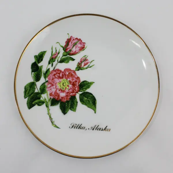 2 Viletta Hand Painted China Sitka Alaska Souvenir Plates Floral Design