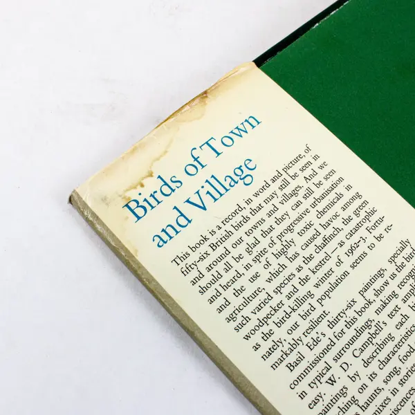 Birds of Town and Village 1968 W.D. Campbell Basil Ede British Illustrated