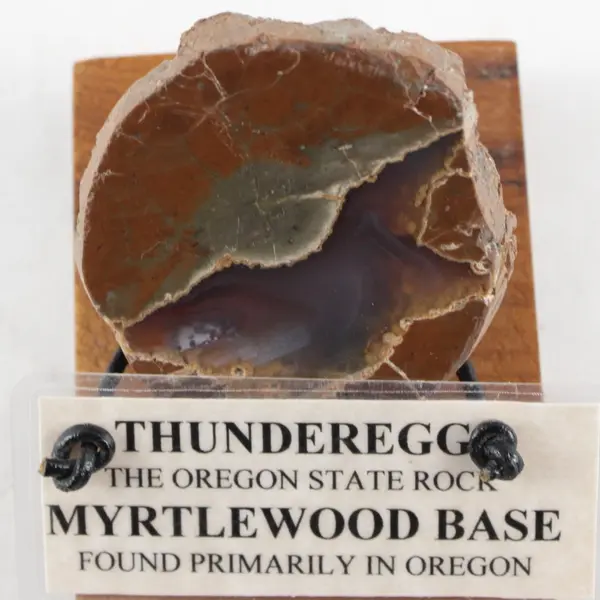 Polished Oregon Thunderegg Specimen Myrtlewood Display Base