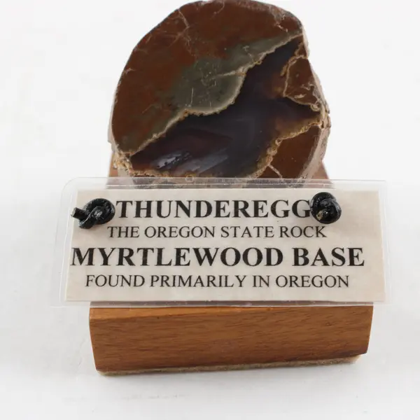 Polished Oregon Thunderegg Specimen Myrtlewood Display Base