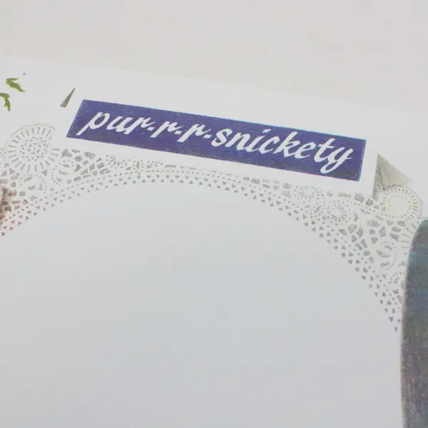 Set of 9 Purrr-Snickety Plastic Placemats Silverware Design 16x11