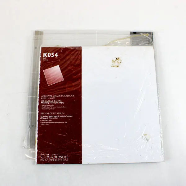 The Paper Studio 12x12 Post-Bound Scrapbook Album 10 Sheet Protectors