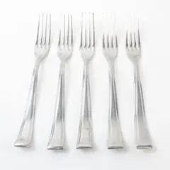 Lot of 5 Fortessa Catana Dinner Forks Used Stainless Flatware