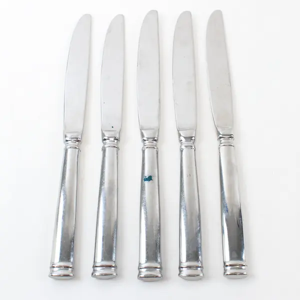 Lot of 5 Fortessa Bistro Butter Knives 10in Restaurant Flatware