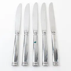 Lot of 5 Fortessa Bistro Butter Knives 10in Restaurant Flatware