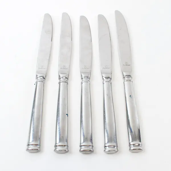 Lot of 5 Fortessa Bistro Butter Knives 10in Restaurant Flatware