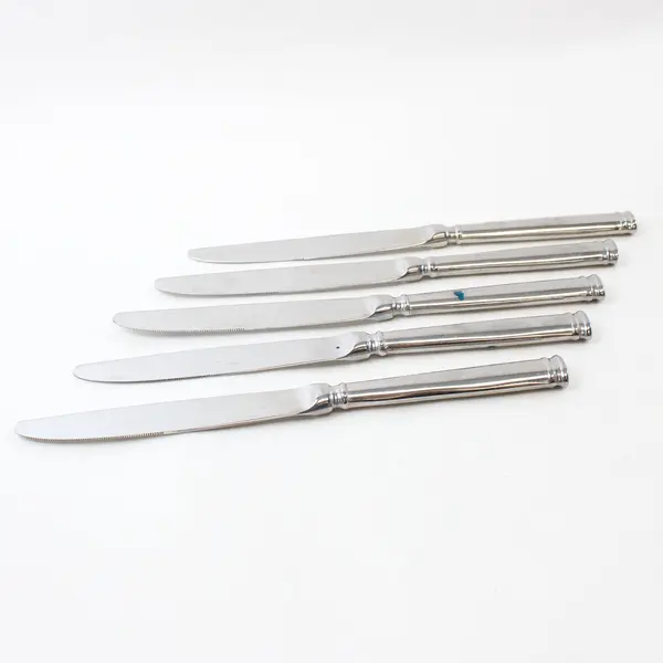 Lot of 5 Fortessa Bistro Butter Knives 10in Restaurant Flatware