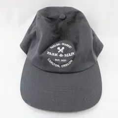 Richardson Dark Gray Park & Main Adjustable Hat Style 252