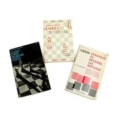 Barnes & Noble Chess Books 3 Paperbacks Strategy First Book Problems