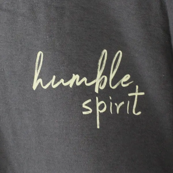 Gildan Softstyle Gray Humble Spirit Adult 3XL T-Shirt
