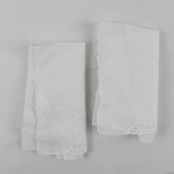 Set of 2 Vintage Floral Embroidered Sheer White Handkerchiefs