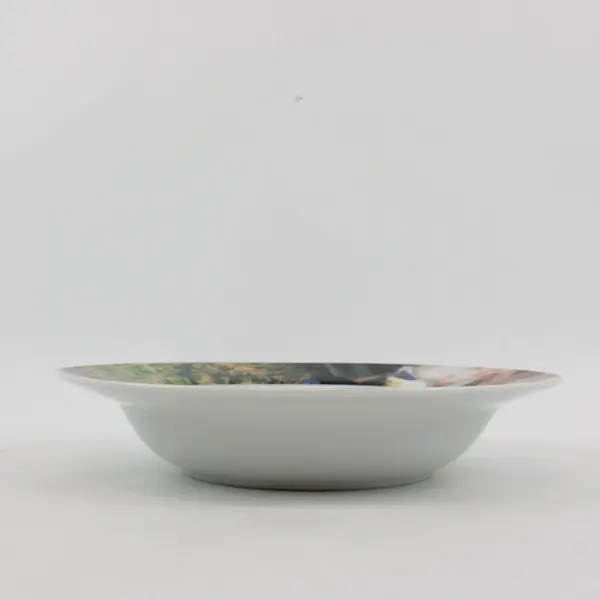 Set of 4 Sakura Renoir Rim Soup Pasta Bowls 9-1/8" Retired Pattern