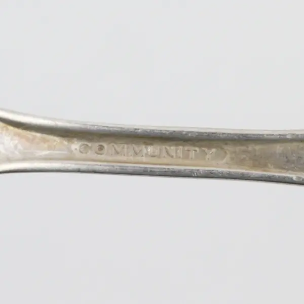 Vintage Oneida Silverplate White Orchid Baby Fork 4.75" Used