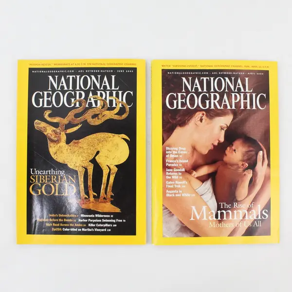 Lot of 2 National Geographic Magazines April & June 2003