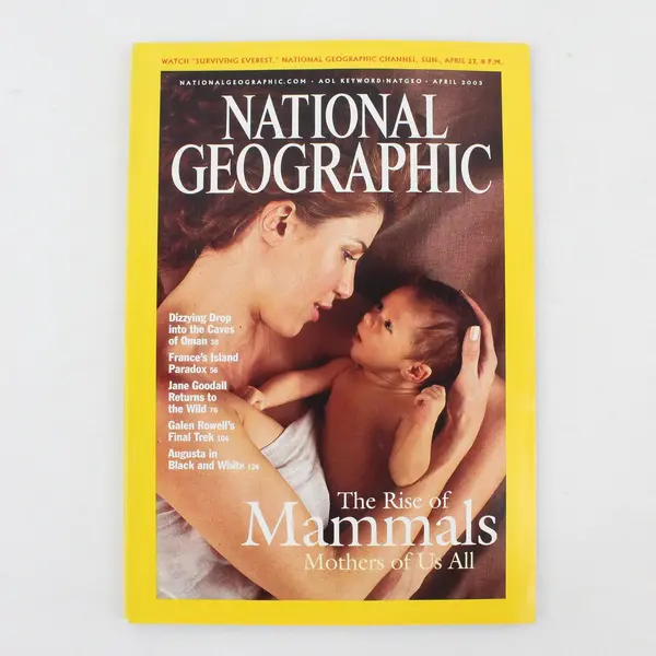 Lot of 2 National Geographic Magazines April & June 2003