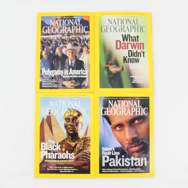 Lot of 4 National Geographic Magazine Issues 2007-2010