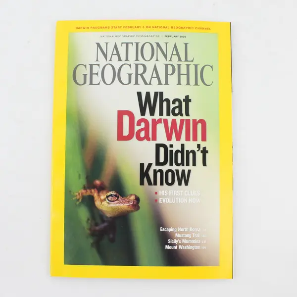 Lot of 4 National Geographic Magazine Issues 2007-2010