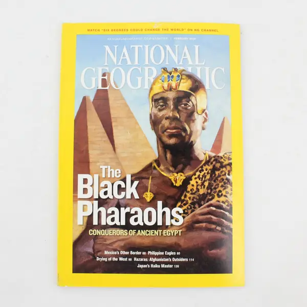 Lot of 4 National Geographic Magazine Issues 2007-2010