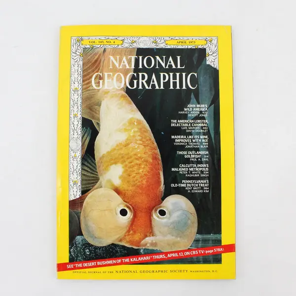 Lot of 4 Vintage National Geographic Magazines 1970 1972 1973
