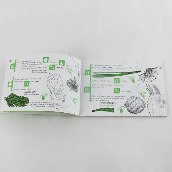 Pacific Coast Tree Finder Tom Watts Pocket Field Guide Tree Identification