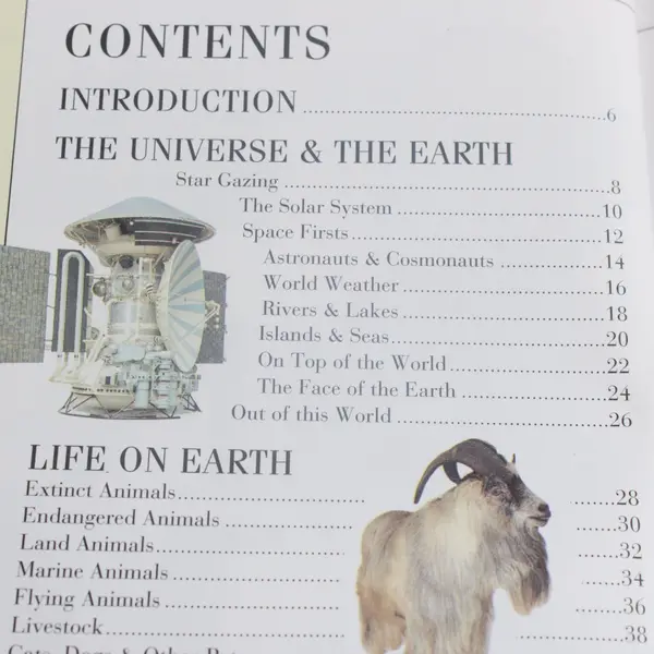 Top 10 of Everything 1999 Russell Ash DK Illustrated Reference Book