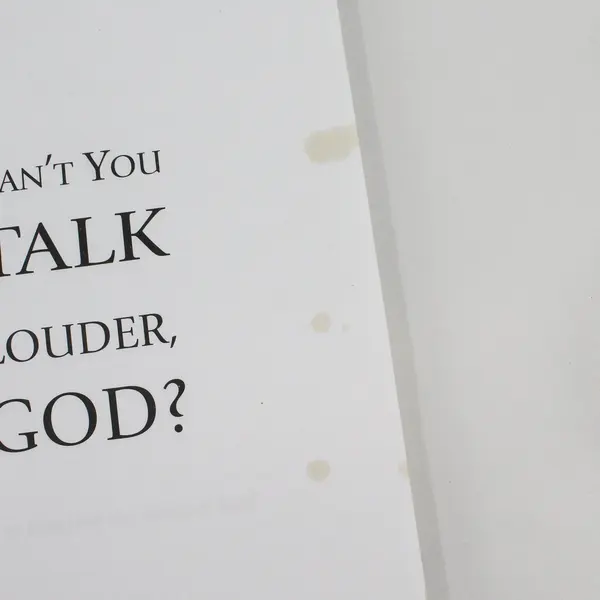 Can't You Talk Louder God? Hearing the Voice of God Steve Shultz 2007 Paperback