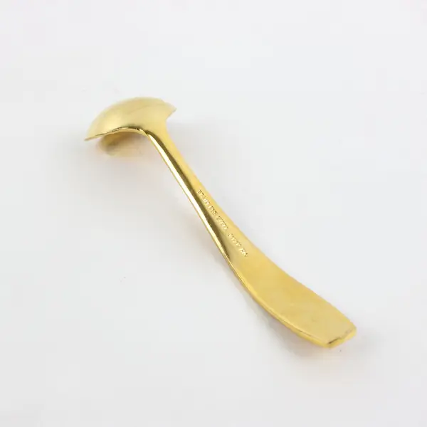 HIC Japan Gold Tone Stainless Steel Condiment Spoon