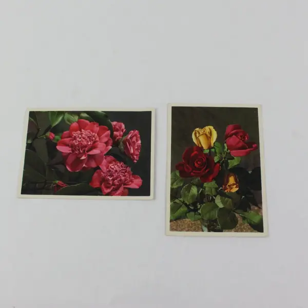 Lot Of 2 Vintage Thor E Gyger Switzerland Flower Postcards