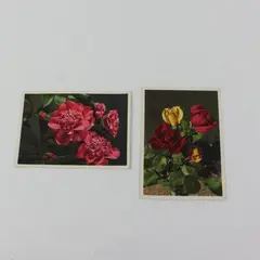 Lot Of 2 Vintage Thor E Gyger Switzerland Flower Postcards