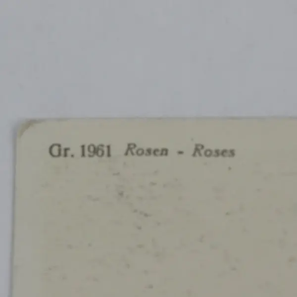 Lot Of 2 Vintage Thor E Gyger Switzerland Flower Postcards