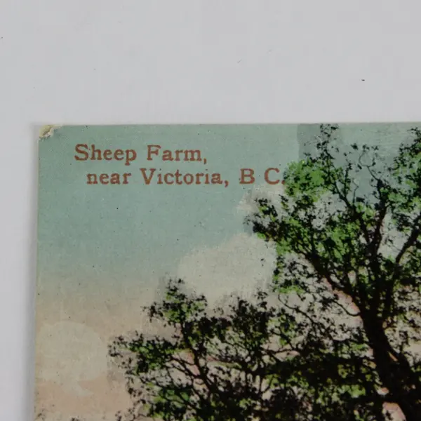 Lot of 2 Victoria BC Valentine & Sons Postcards Sheep Farm Goldstream Bridge