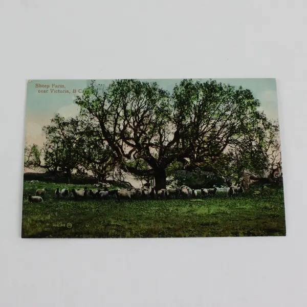 Lot of 2 Victoria BC Valentine & Sons Postcards Sheep Farm Goldstream Bridge