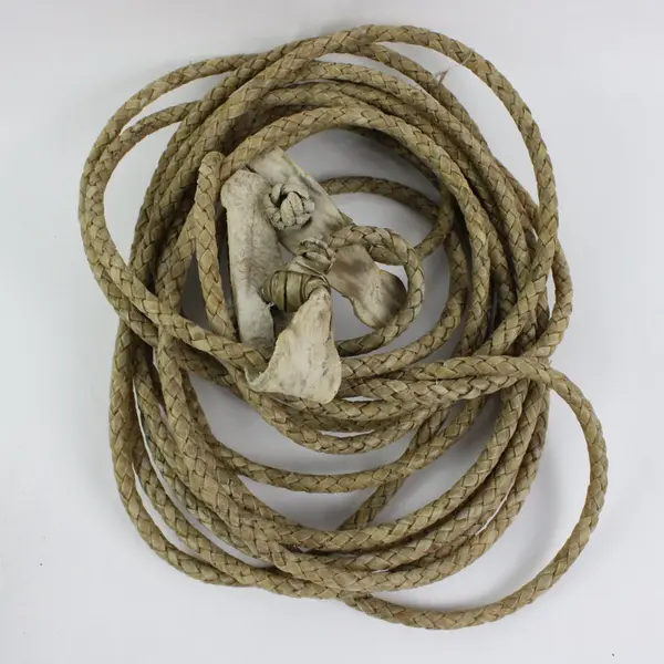 Antique Chilean Huaso Gaucho Ornate Braided Horse Reins Spurs Tack