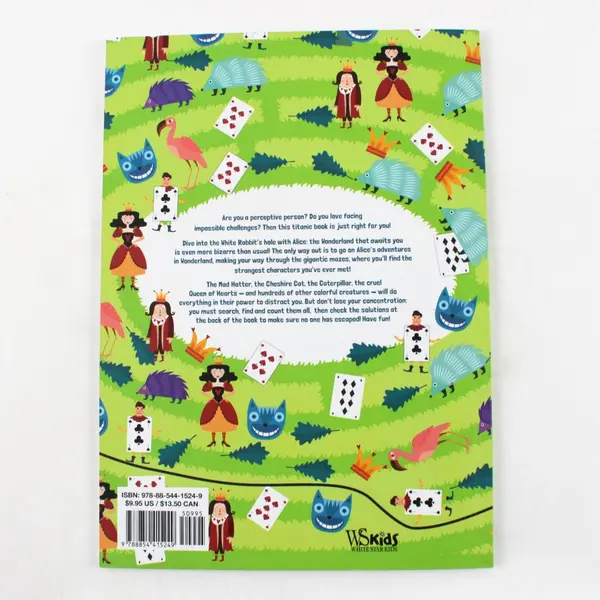 Alice's Mazes A Counting Adventure in Wonderland Search Find Count 2019 PB
