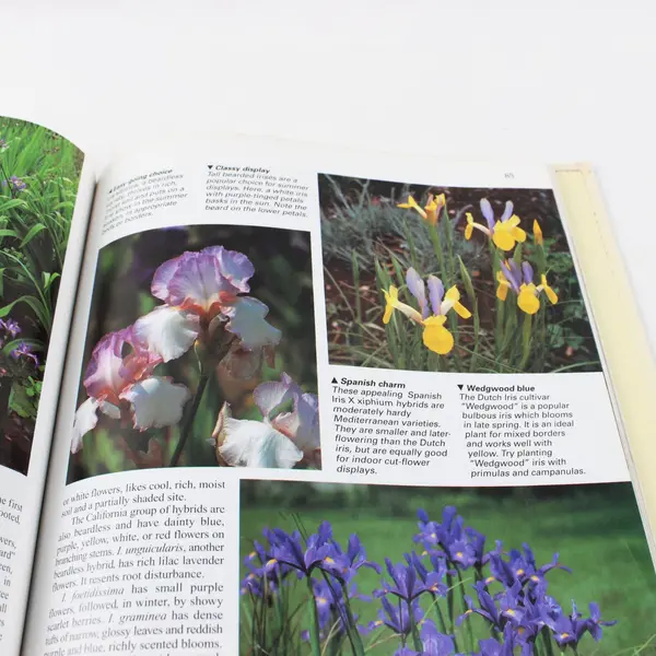 The Country Garden Country Homes & Gardens 2000 HC Good No DJ